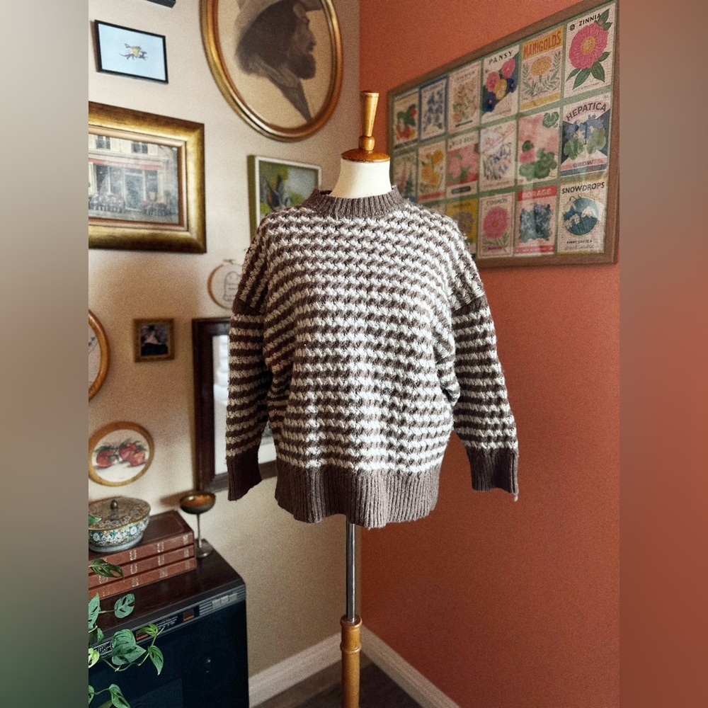 Zara Stripped Knit Sweater